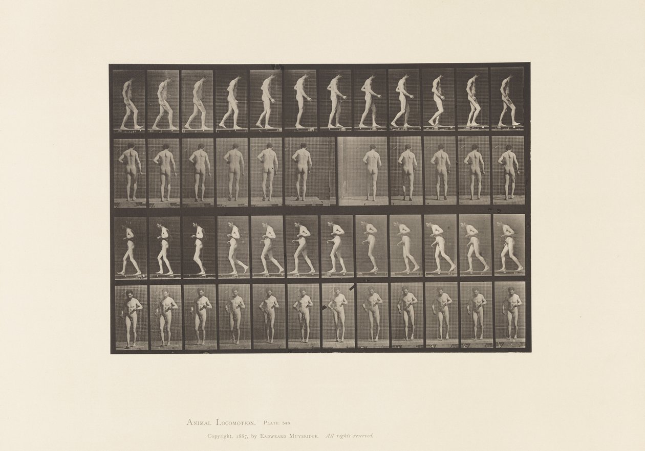 Levy 548. Lateraaliskleroosi; A, B, Kävely, 1885 tekijältä Eadweard Muybridge