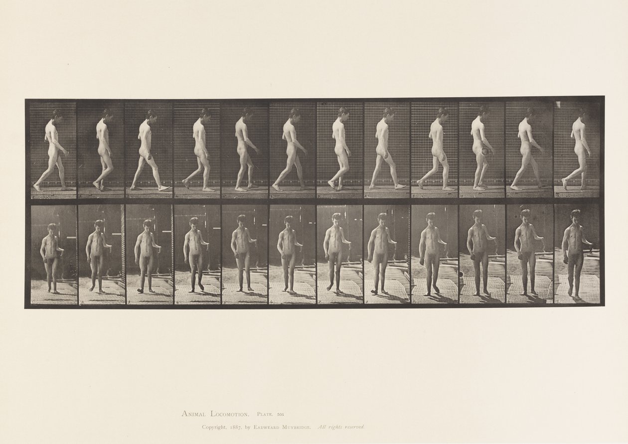 Levy 551. Epilepsia; Kävely, 1885 tekijältä Eadweard Muybridge
