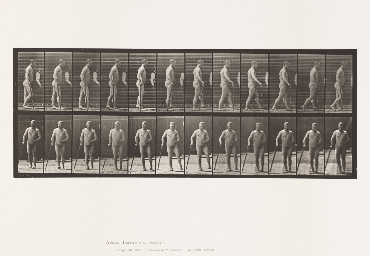 Levy 552. Hemiplegia; Kävelemässä kepin kanssa, 1885 tekijältä Eadweard Muybridge