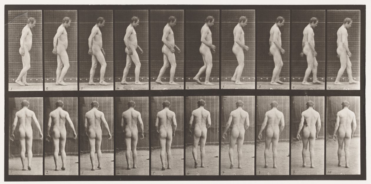 Levy 553. Pään traumatismin jälkeen; Kävely, 1885 tekijältä Eadweard Muybridge
