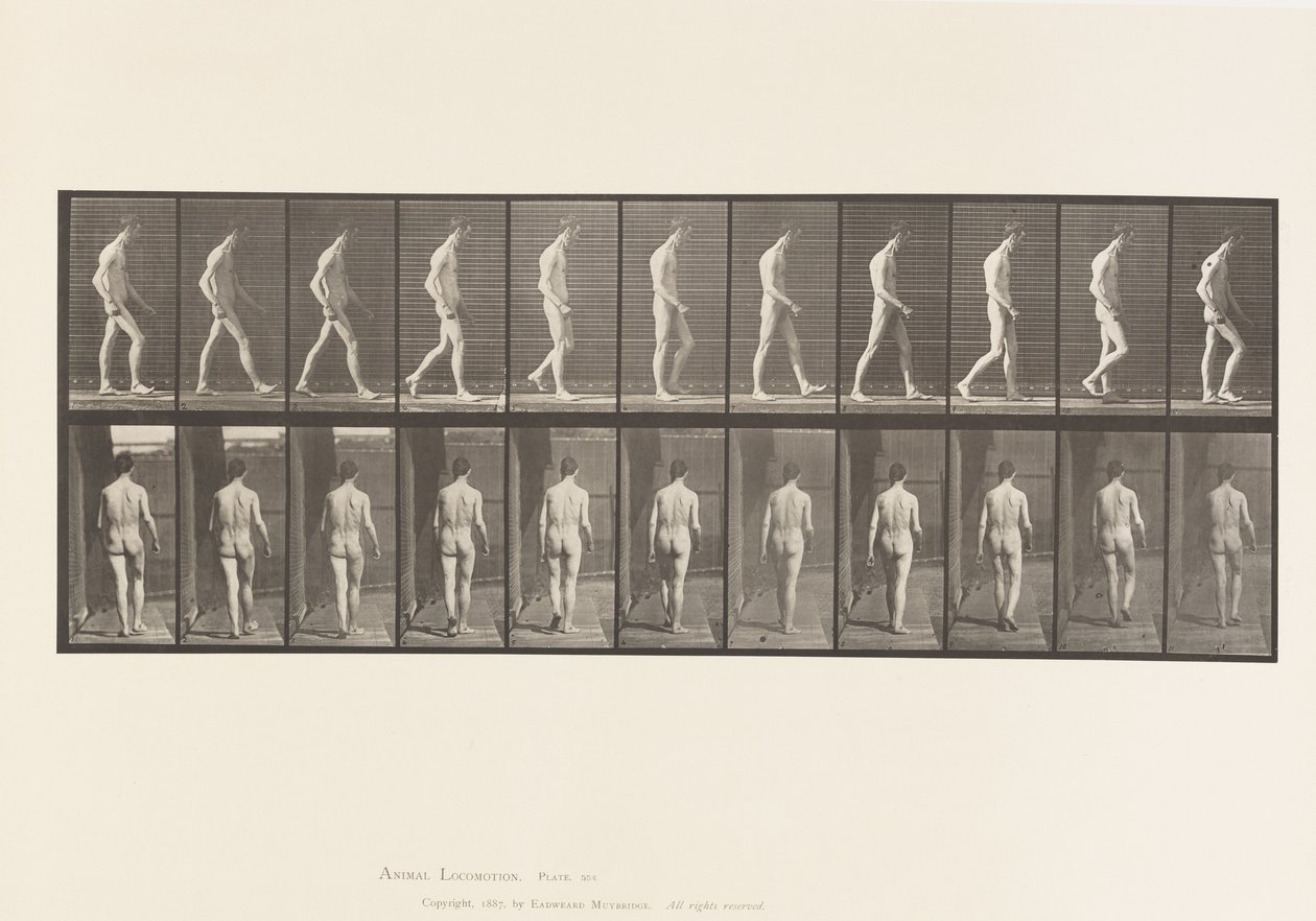 Levy 554. Liikunta-ataksia; Kävely, 1885 tekijältä Eadweard Muybridge