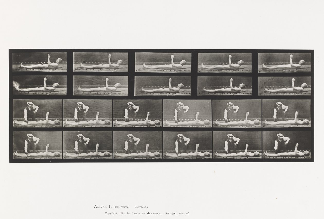 Levy 556. Paikallinen korea; A, B, Makaa tekijältä Eadweard Muybridge