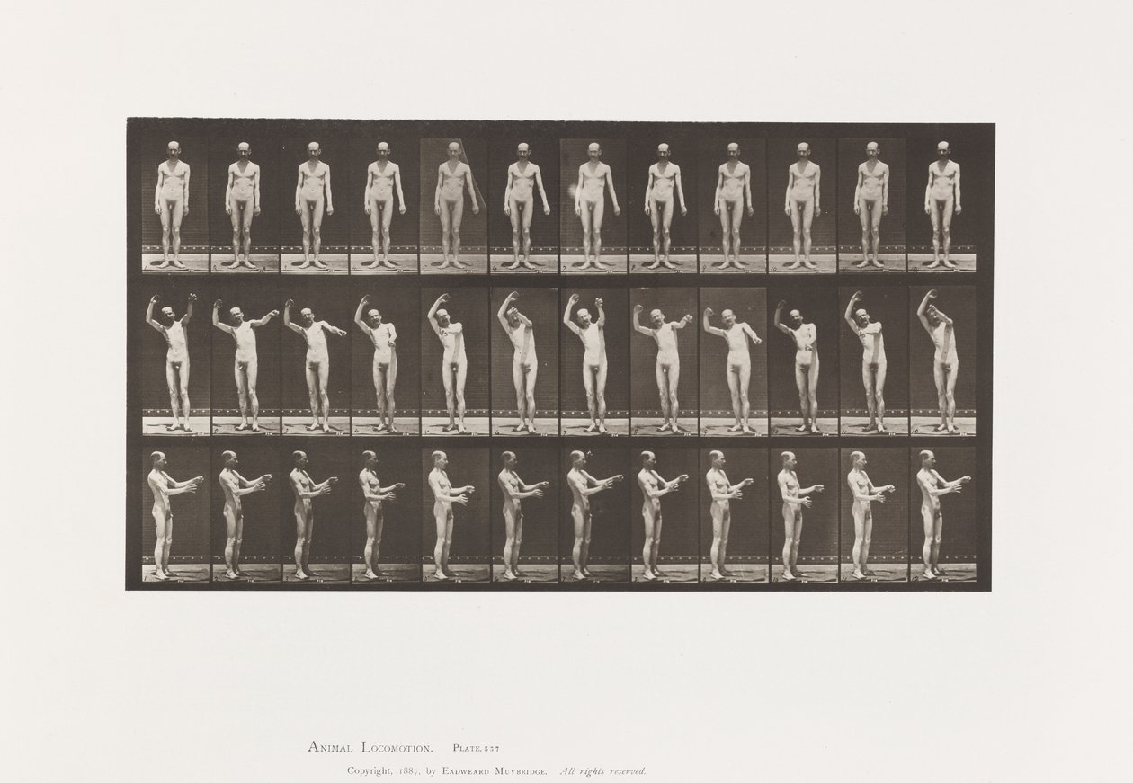 Levy 557. Paikallinen korea; A, B, C, Seisten, 1885 tekijältä Eadweard Muybridge