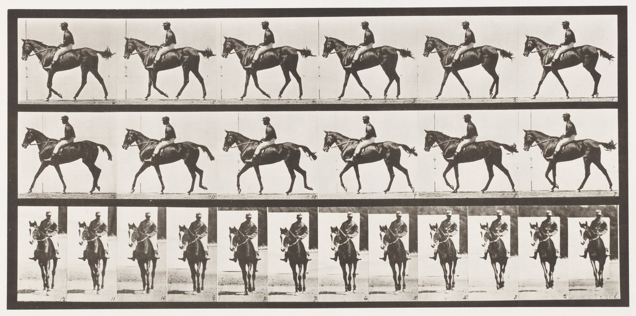 Lauta 580. Kävely; Satula; Täysverinen Bay Mare Annie G., 1885 tekijältä Eadweard Muybridge
