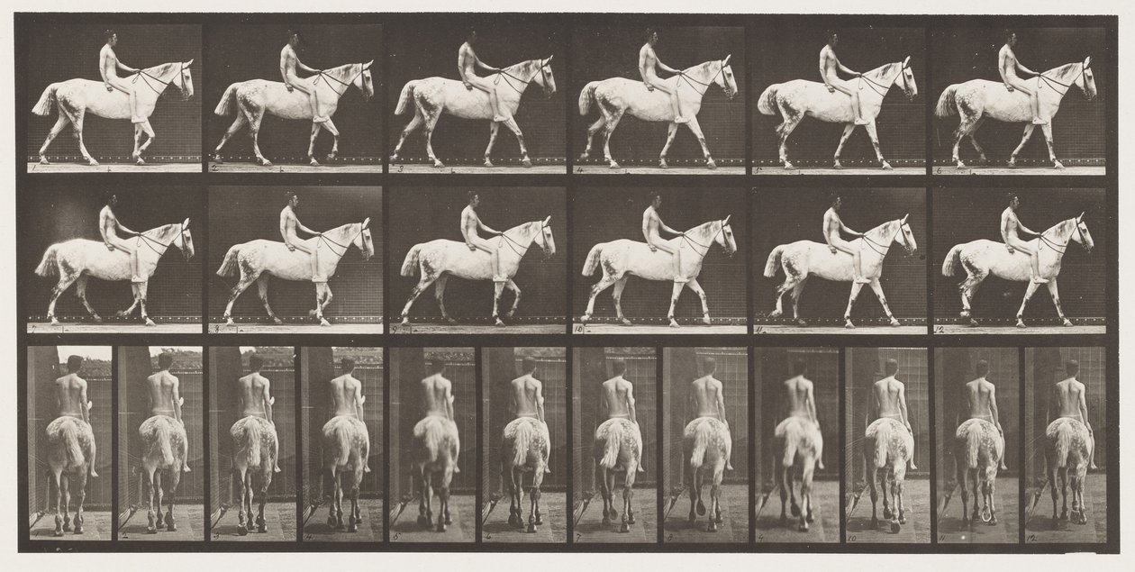 Lauta 581.Kävely;Paljas selkä;Ratsastaja,43, Alaston; Vaaleanharmaa Horse Smith, 1885 tekijältä Eadweard Muybridge