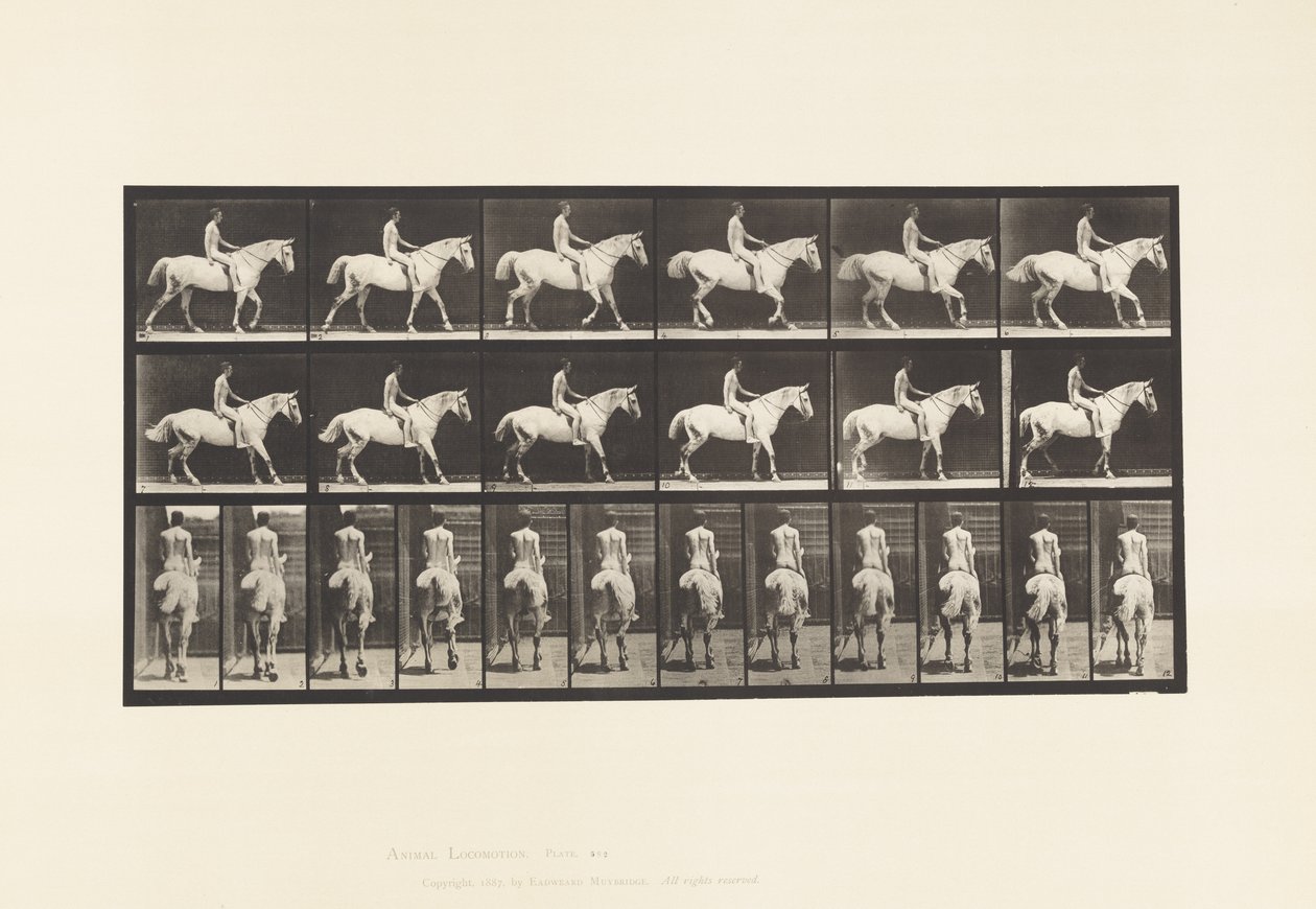 Levy 582. Kävely;Satula; Rider, 43, alaston; Vaaleanharmaa Horse Smith tekijältä Eadweard Muybridge
