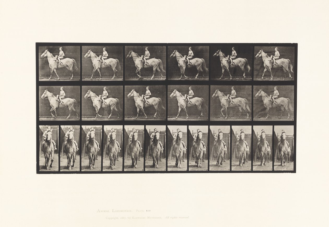 Lauta 583. Kävely; Satula; Nainen ratsastaja; Alaston; Grey Horse Tan, 1885 tekijältä Eadweard Muybridge