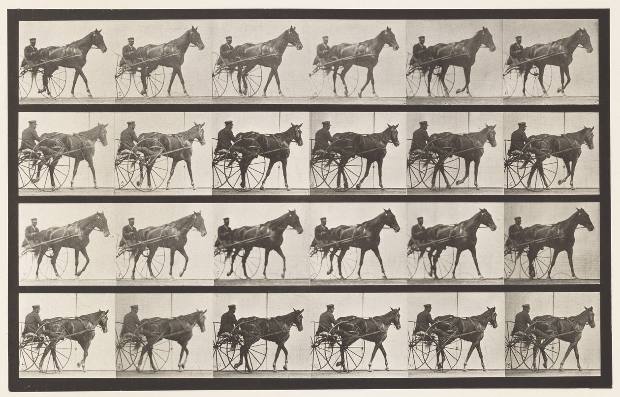 Lauta 587. Kävely; Sulky; Sorrel Mare Nellie Rose, 1885 tekijältä Eadweard Muybridge
