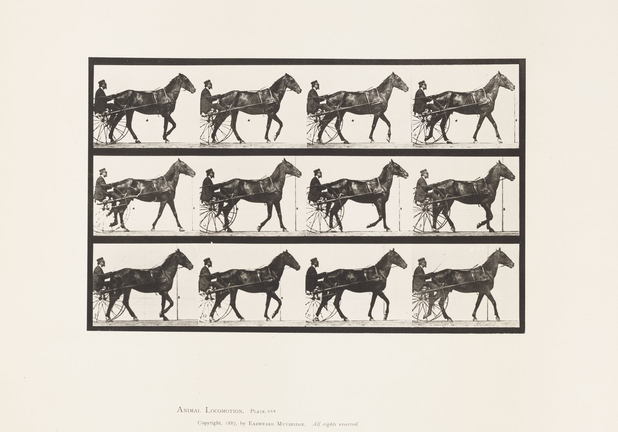 Lauta 588. Kävely; Sulky; Bay Horse Ruben, 1885 tekijältä Eadweard Muybridge