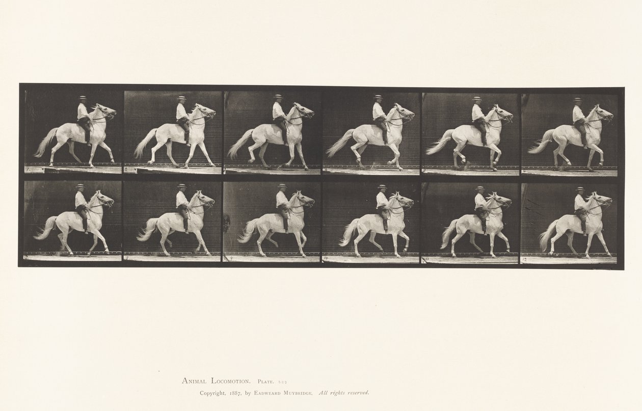 Levy 589. Ambling tekijältä Eadweard Muybridge