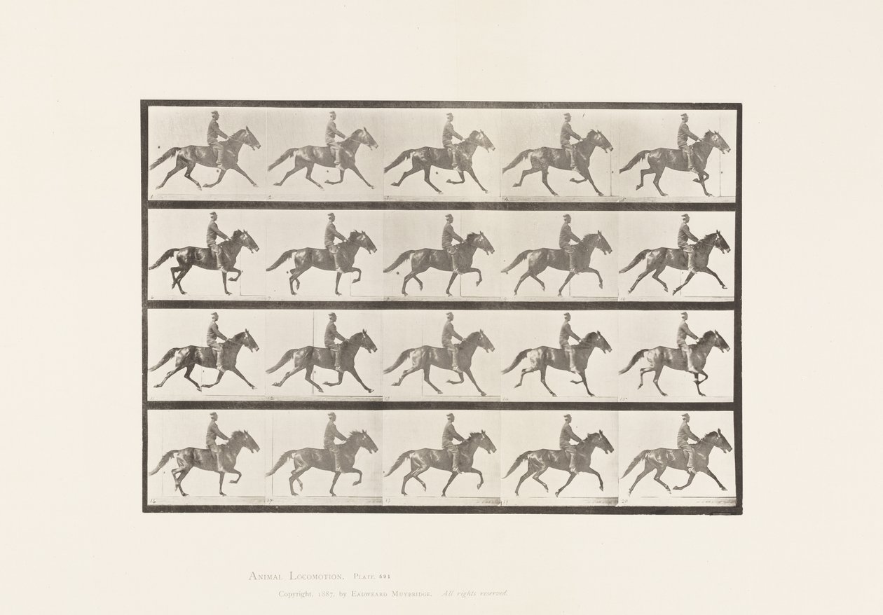 Lauta 591.Keinu tekijältä Eadweard Muybridge