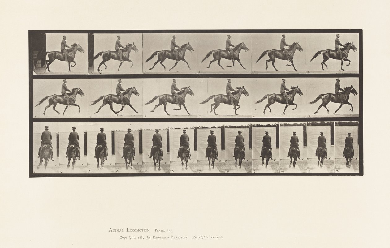 Levy 592. Keinu (vauhti): Satula; Brown Horse Pronto tekijältä Eadweard Muybridge