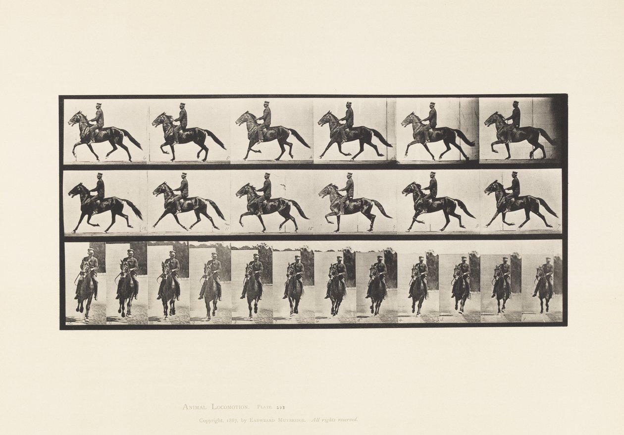 Levy 593. Keinu (vauhti): Satula; Brown Horse Pronto tekijältä Eadweard Muybridge