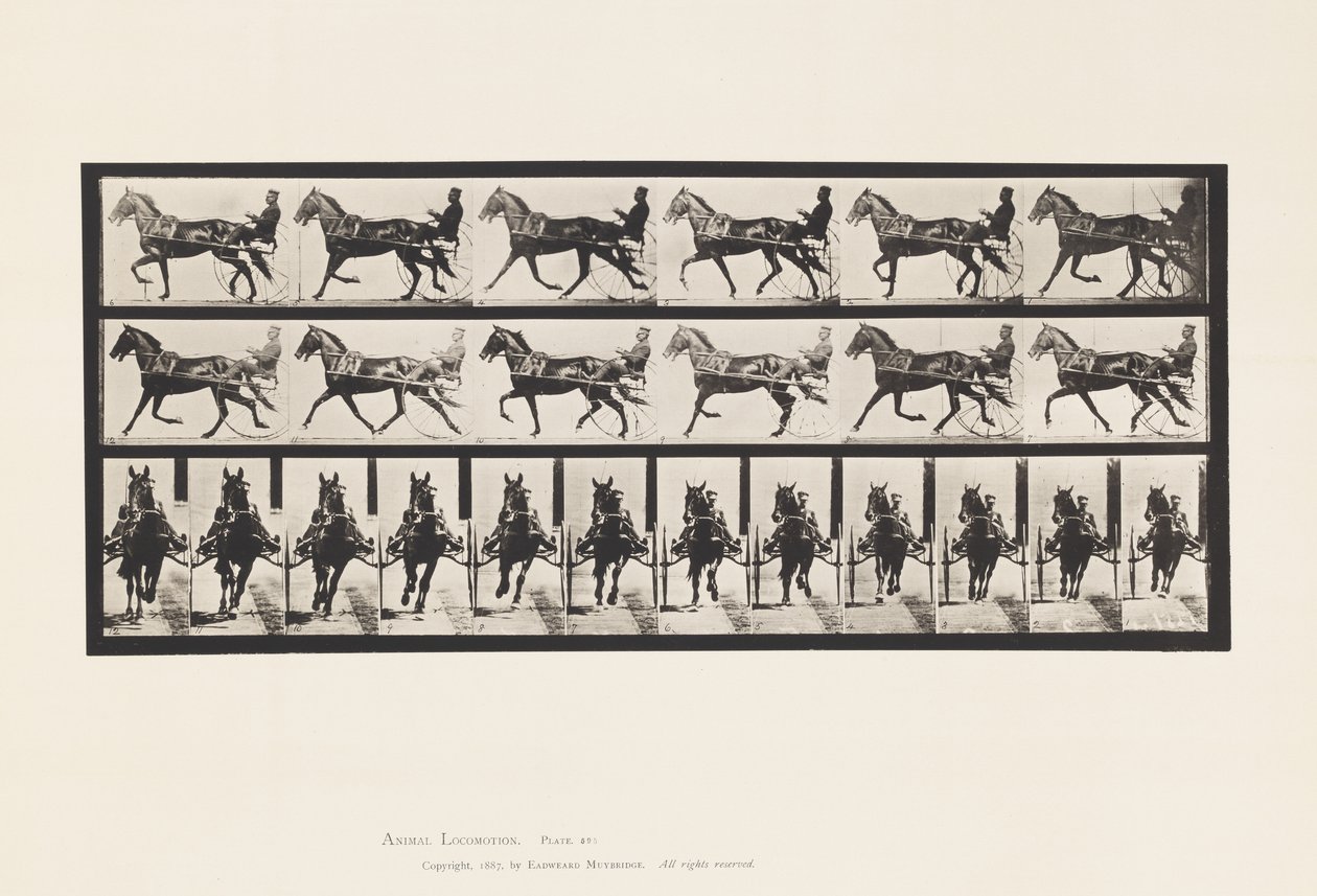 Levy 595. Keinu (tahdistus): Sulky; Brown Horse Pronto tekijältä Eadweard Muybridge