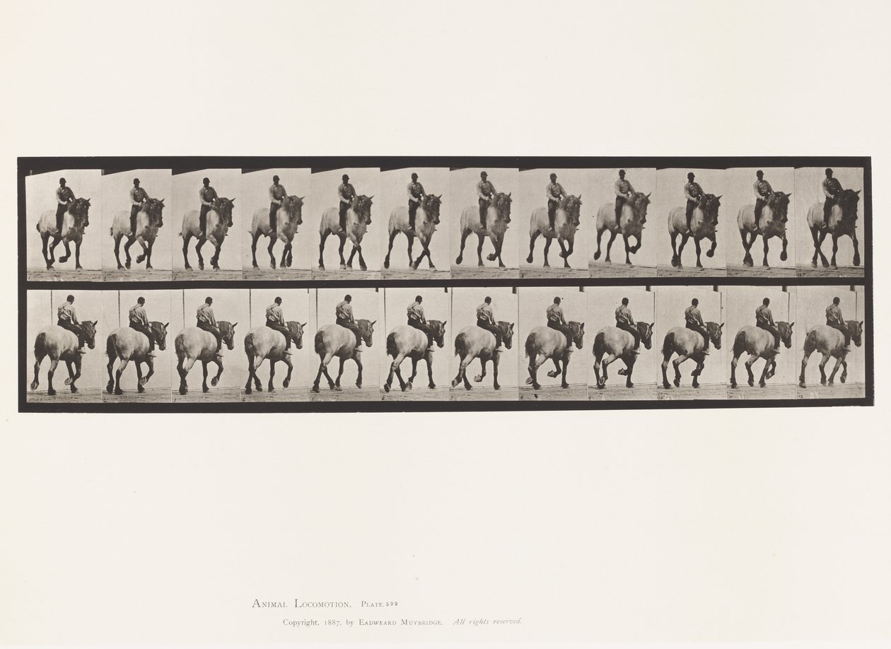 Levy 599. Ravi; Ilman satulaa; Tummanharmaa Dusel tekijältä Eadweard Muybridge