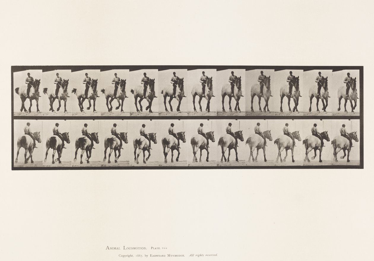 Levy 600. Ravi; Ilman satulaa; Tummanharmaa Dusel tekijältä Eadweard Muybridge