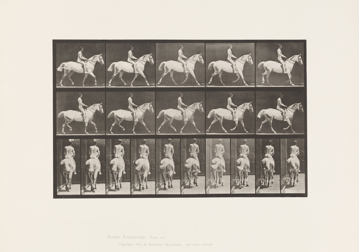 Levy 603. Ravi; Satula; Ride, 43, leveä, vaaleanharmaa Horse Smith tekijältä Eadweard Muybridge