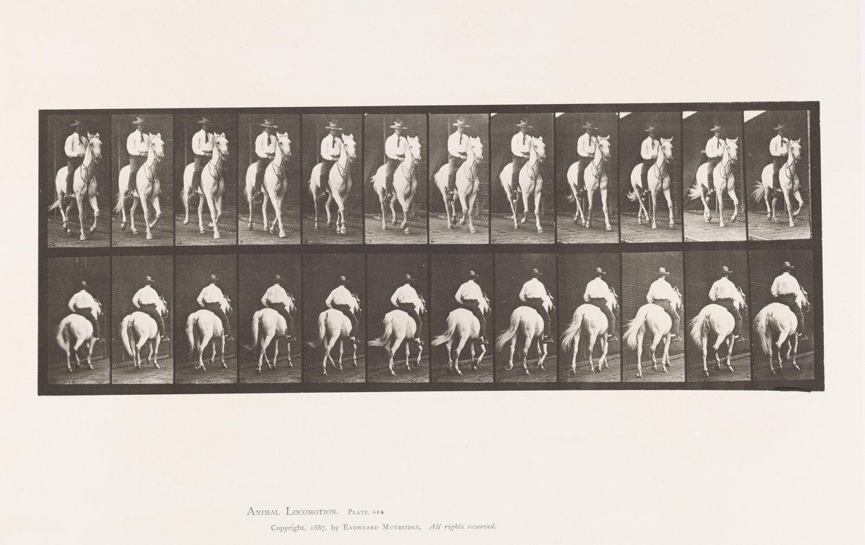 Levy 604. Ravi; Satula; Valkoinen hevonen, Elberon tekijältä Eadweard Muybridge