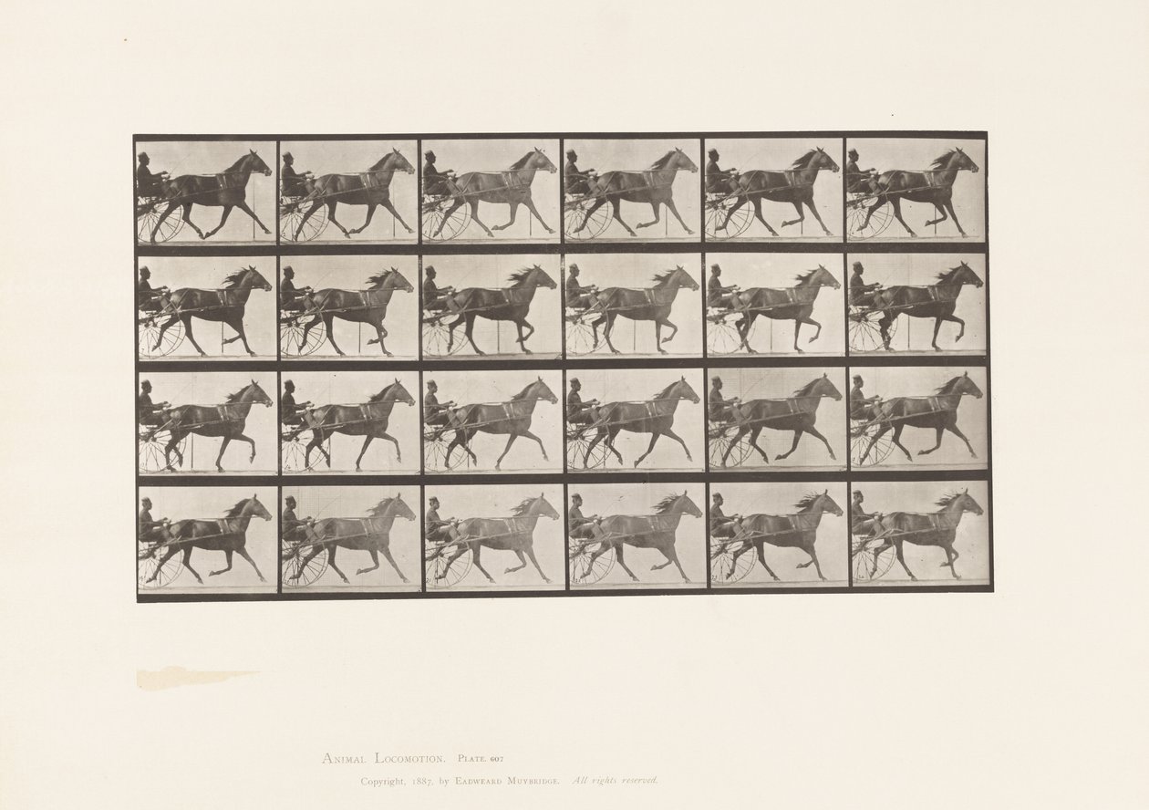 Levy 607. Ravi; Sulky; Bay Mare, Lizzie M. tekijältä Eadweard Muybridge