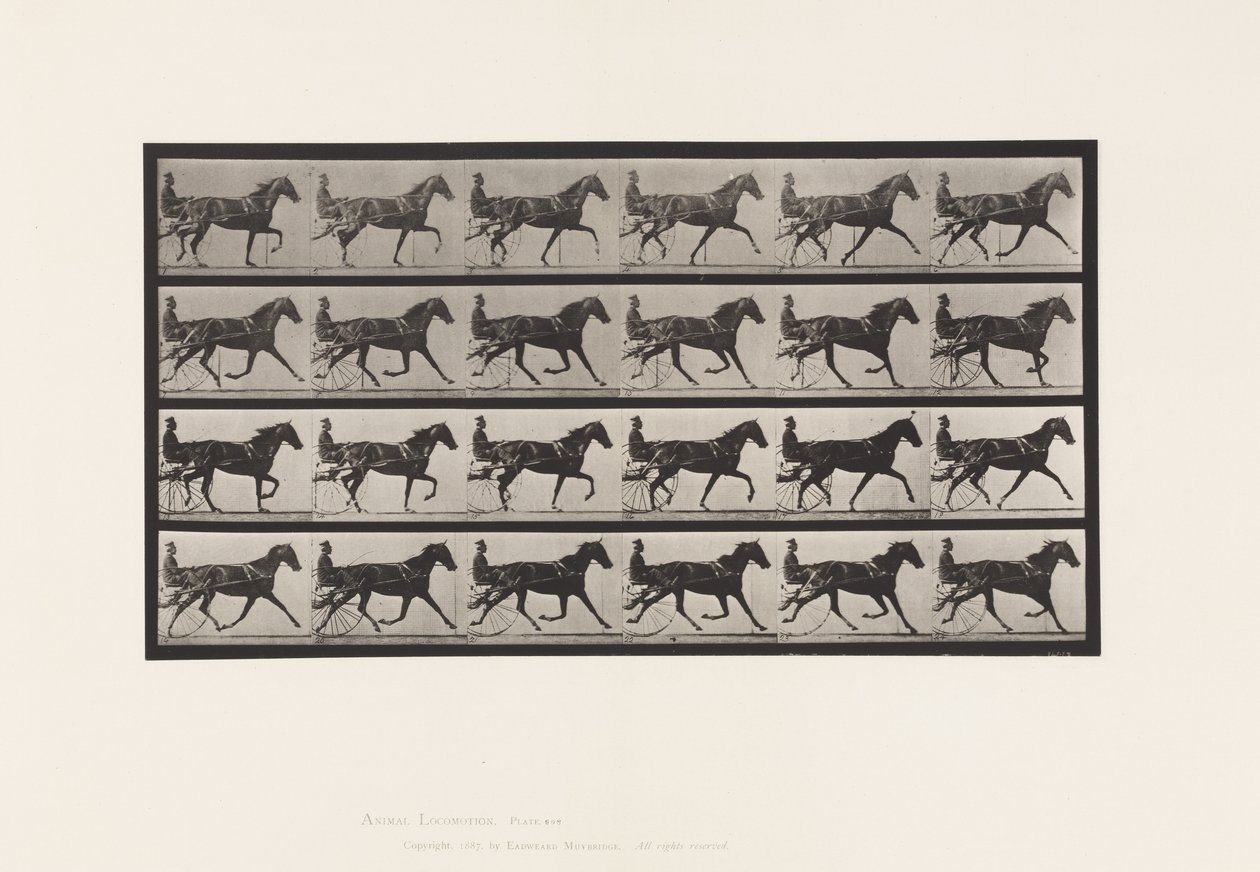 Levy 608. Ravi; Sulky; Sorrel Mare, Flode Holden tekijältä Eadweard Muybridge