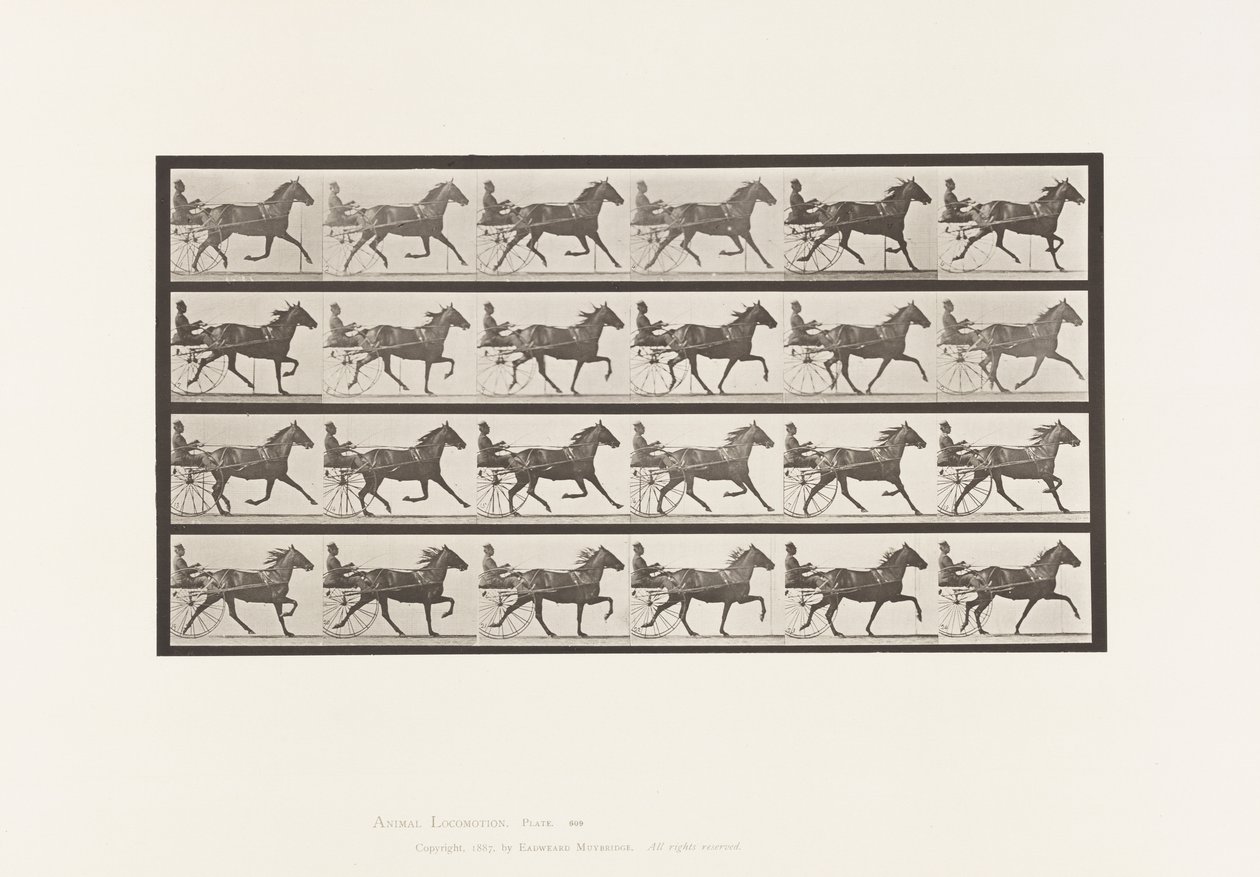 Levy 609. Ravi; Sulky; Bay Mare, Lizzie M. tekijältä Eadweard Muybridge