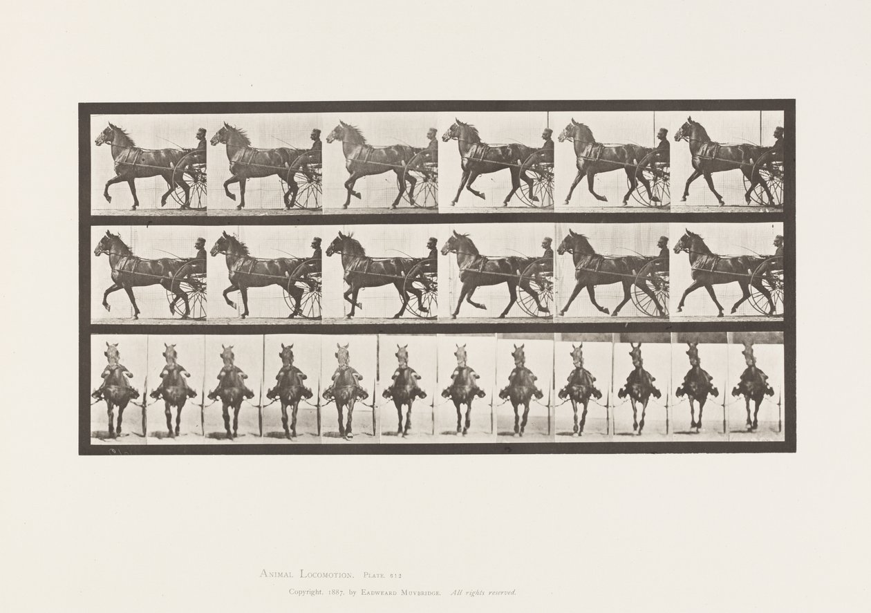 Levy 612. Ravi; Sulky; Bay Horse, Dereumd tekijältä Eadweard Muybridge