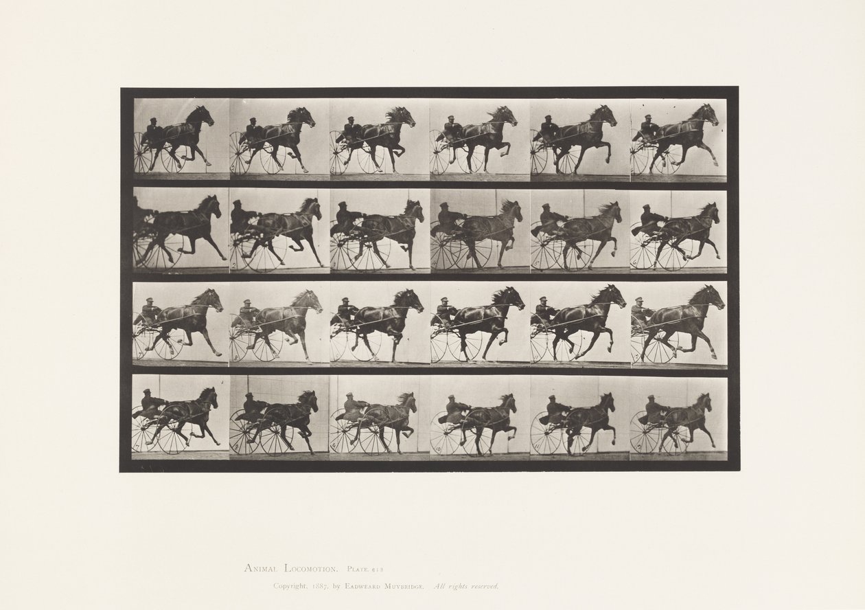 Levy 613. Ravi; Sulky; Sorrel Mare Nellie Rose tekijältä Eadweard Muybridge