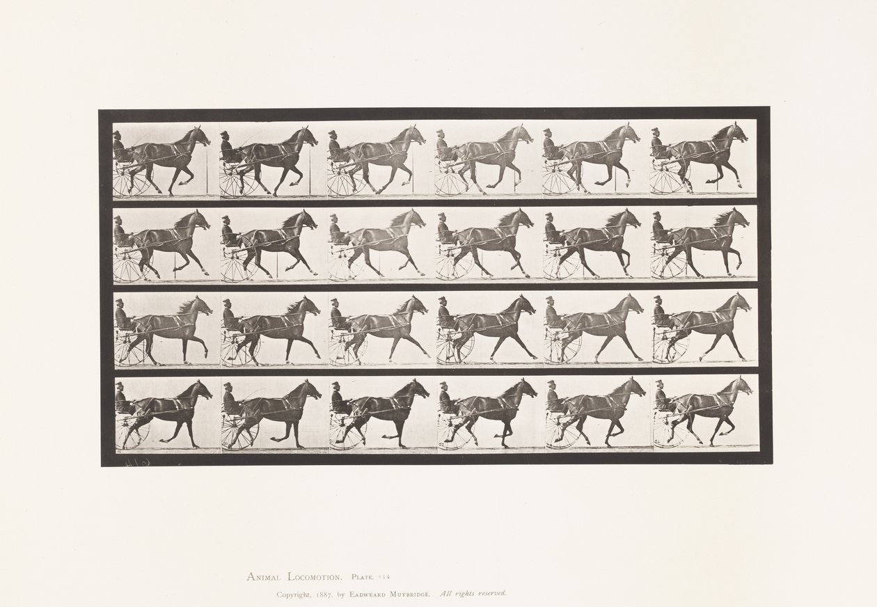 Levy 614. Ravi; Breaking to Gallop; Sorrel Mare Flode Holden tekijältä Eadweard Muybridge