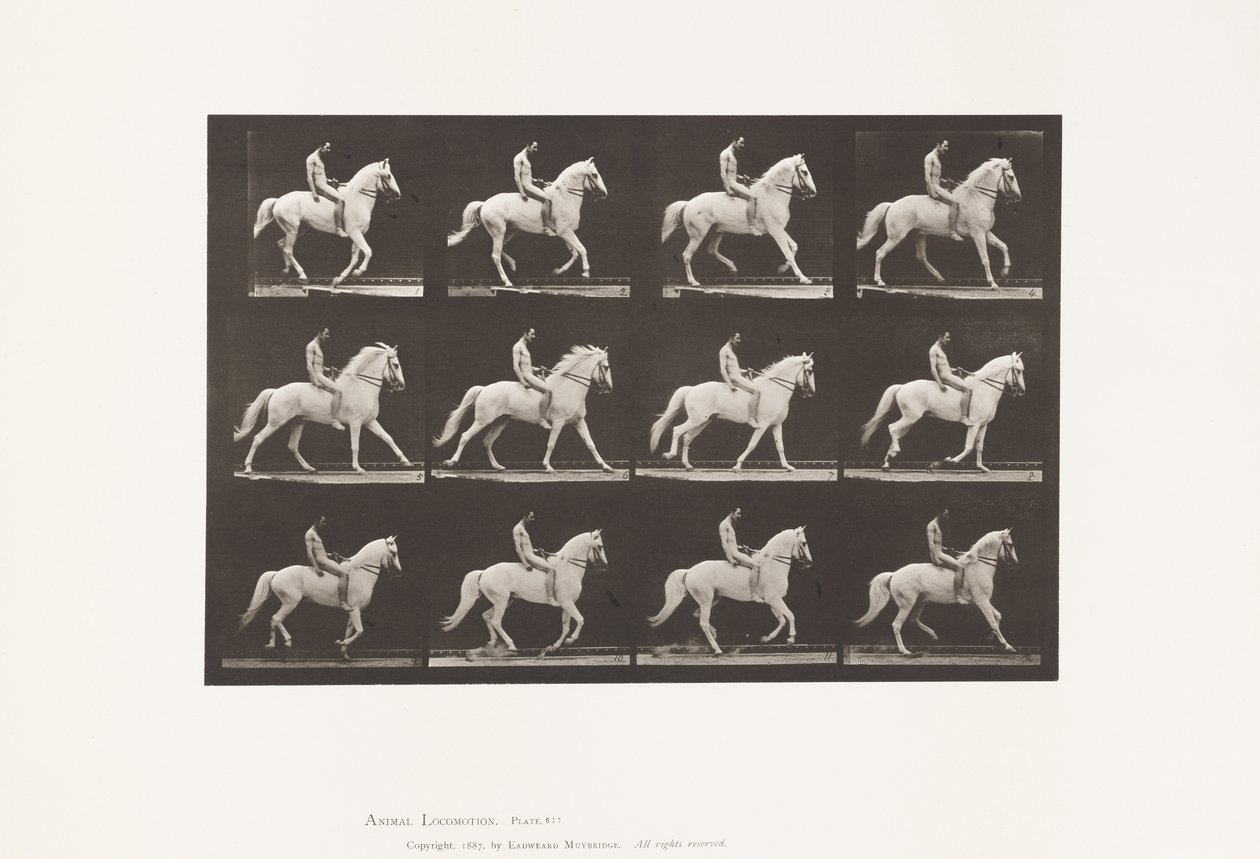 Levy 617. Laukka; Ilman satulaa; Rider, 106, alaston; White Horse Clinton, 1885 tekijältä Eadweard Muybridge