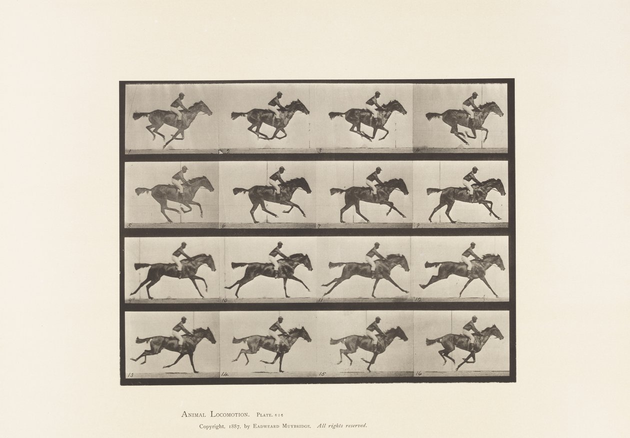 Lauta 626. Laukka; Täysverinen Bay Mare Annie G. tekijältä Eadweard Muybridge