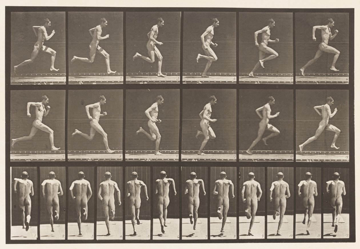 Levy 62. Käynnissä täydellä nopeudella., 1872-1885 tekijältä Eadweard Muybridge