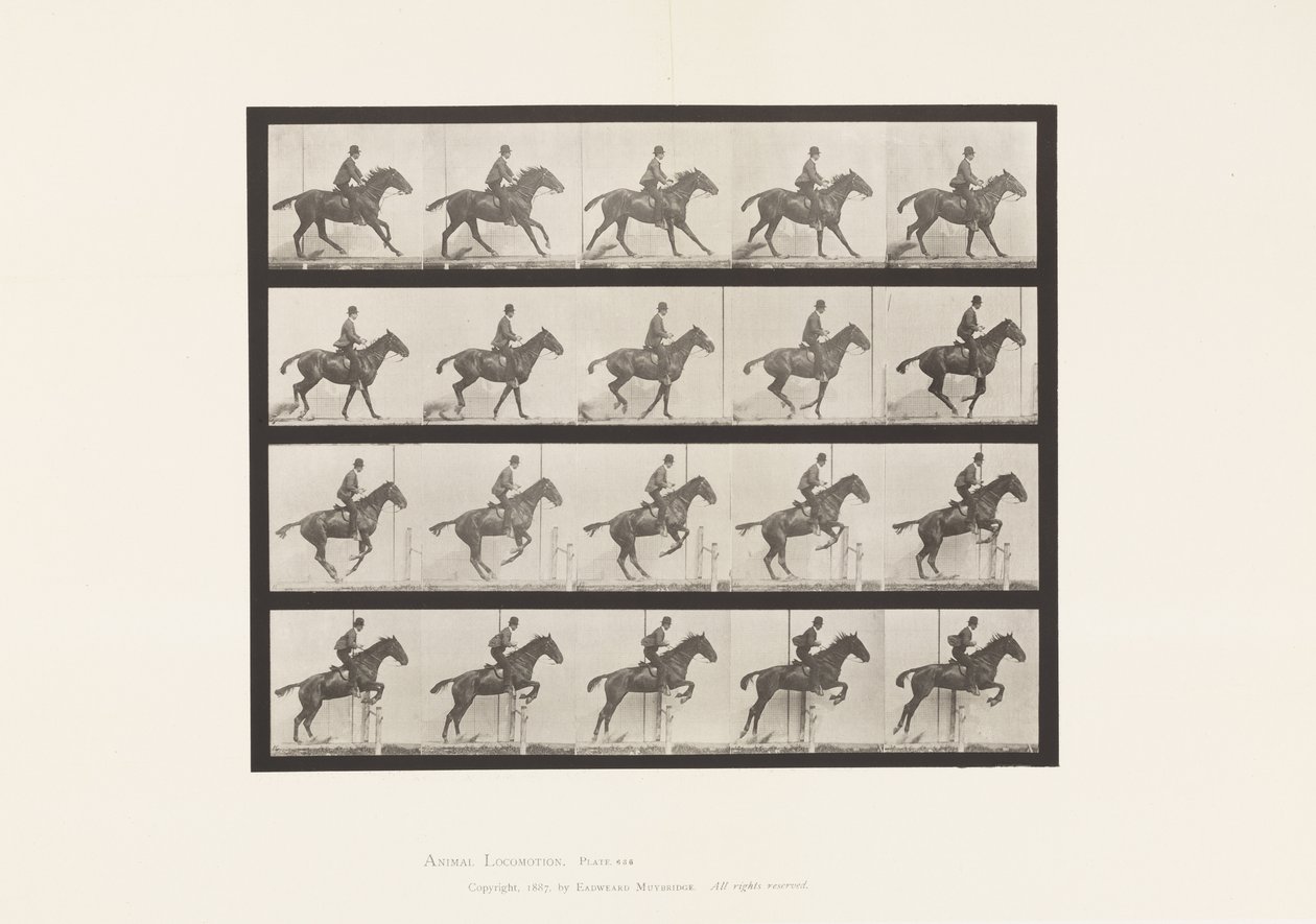 Levy 636. Esteen hyppy; Satula; Valmistautuminen hyppyyn tekijältä Eadweard Muybridge
