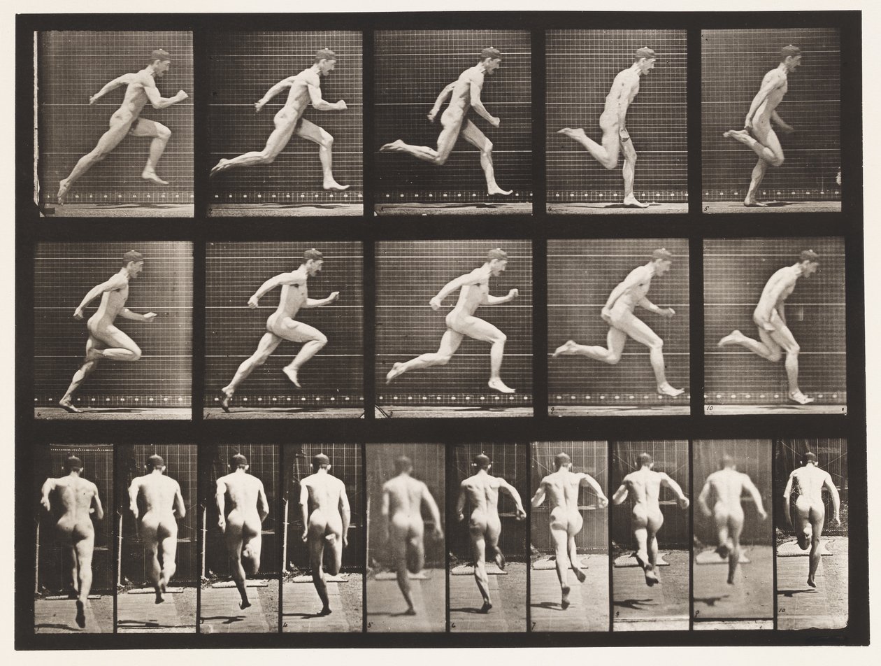 Levy 63. Käynti täydellä nopeudella. tekijältä Eadweard Muybridge