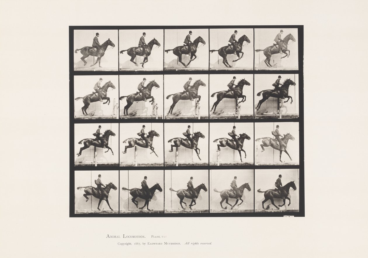 Levy 640. Esteen hyppy; Satula; Bay Horse Daisy tekijältä Eadweard Muybridge