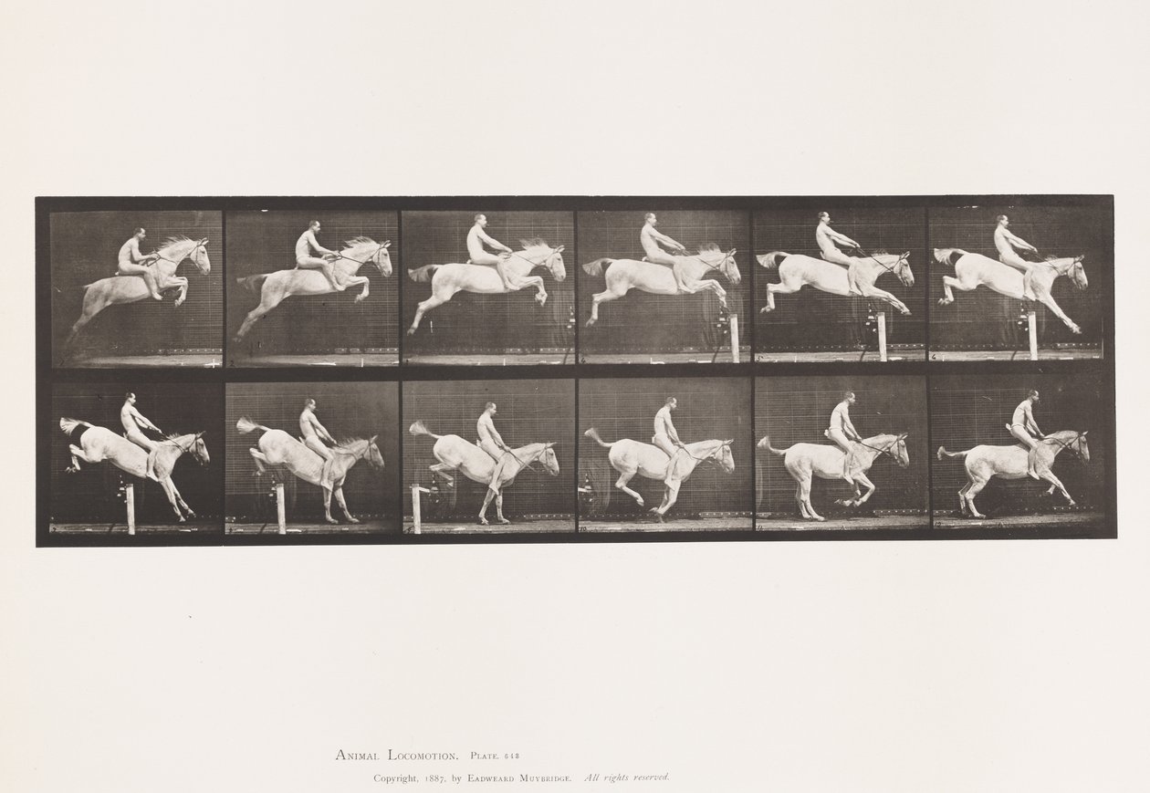 Levy 643. Esteen hyppy; Ilman satulaa; Selvitys ja purkaminen; tekijältä Eadweard Muybridge