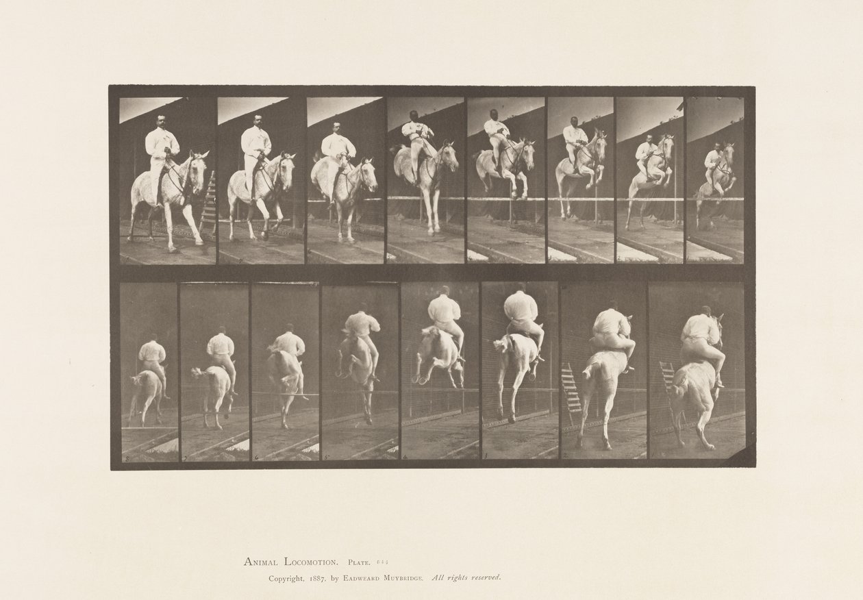 Levy 644. Esteen hyppy; Satula; Raivaus ja laskeutuminen tekijältä Eadweard Muybridge