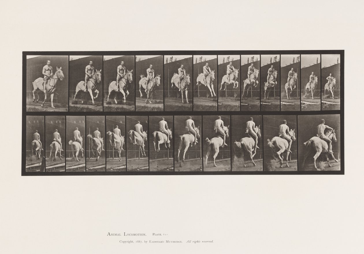Tuntematon kuva tekijältä Eadweard Muybridge