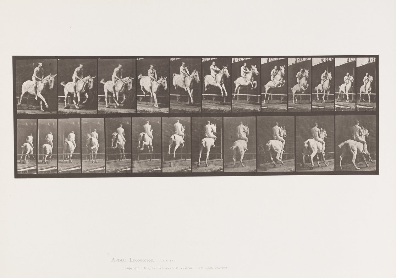 Levy 647. Esteen hyppy; Ilman satulaa; Ratsastaja tekijältä Eadweard Muybridge