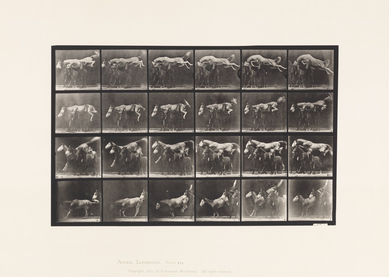 Levy 648. Kolmen hevosen yli hyppääminen; A, B; Kastanja Hornet tekijältä Eadweard Muybridge