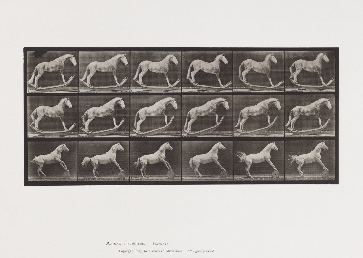 Levy 649.A, Hornet, Rocking; B, Eagle, Rolling Barrel jne. tekijältä Eadweard Muybridge