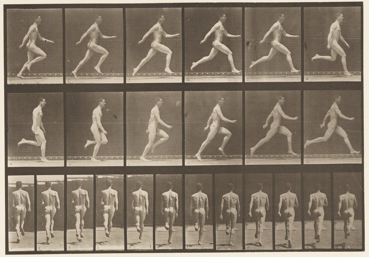 Levy 64. Käynti täydellä nopeudella tekijältä Eadweard Muybridge