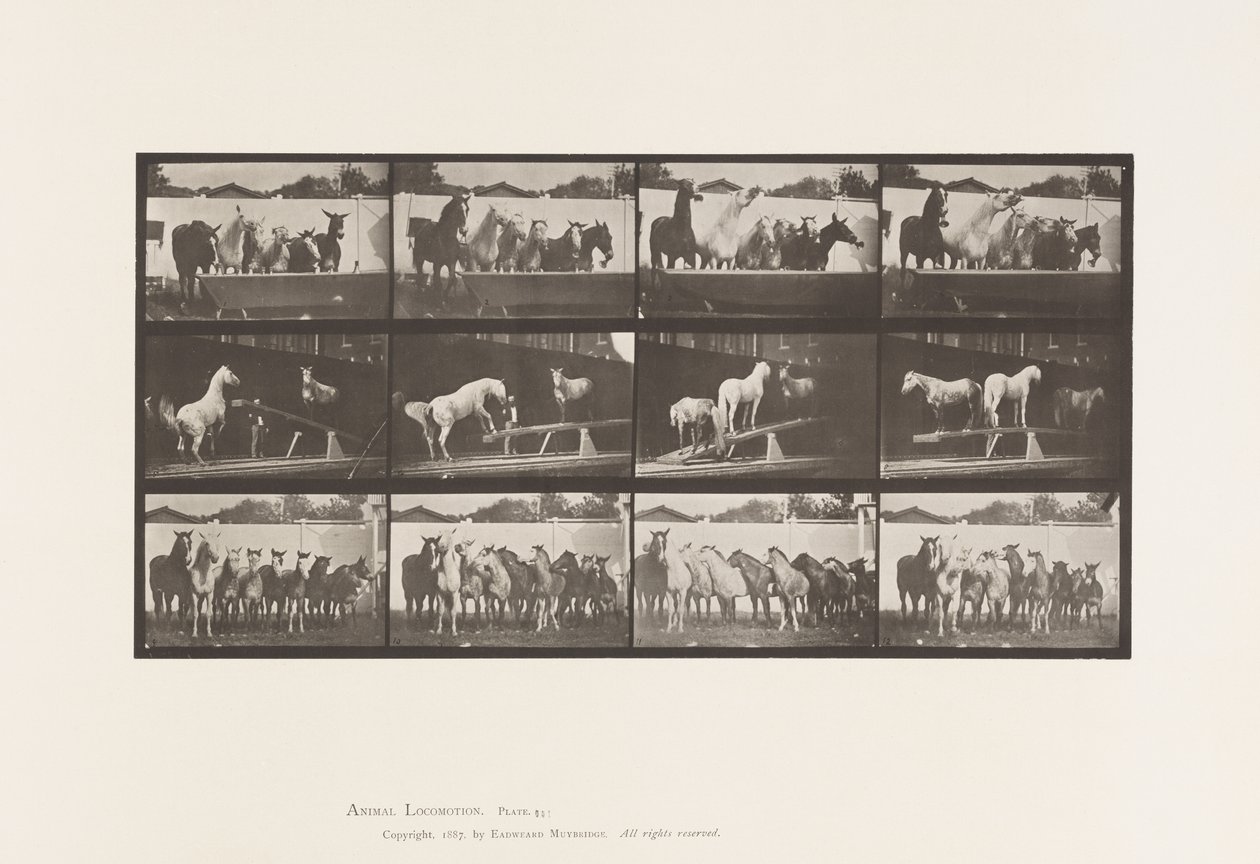 Levy 651.A, kellonsoitto; B, Teeter Board; C, sotilasharjoitus tekijältä Eadweard Muybridge