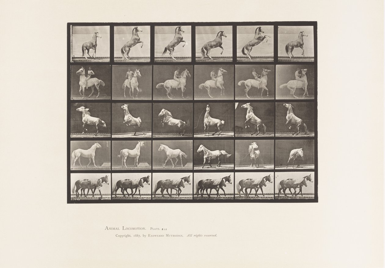 Kilpi 652. A, B, C, D, E, hevosten kasvatus jne. tekijältä Eadweard Muybridge