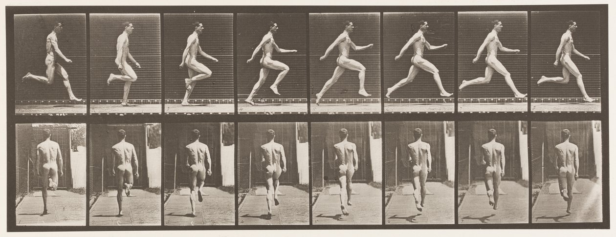 Levy 65. Käytössä täydellä nopeudella., 1872-1885 tekijältä Eadweard Muybridge