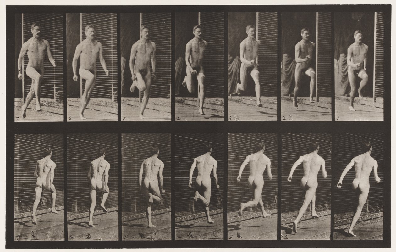 Levy 66. Juokse tekijältä Eadweard Muybridge