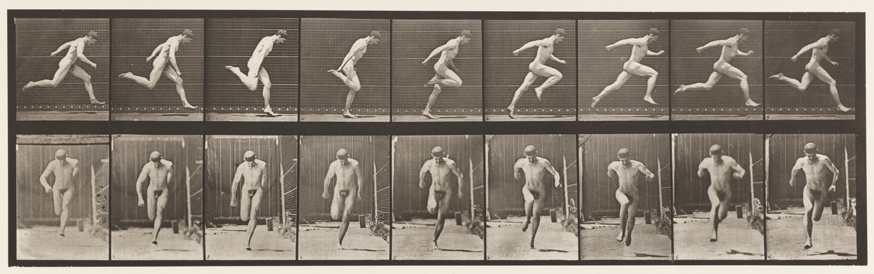 Levy 68. Juoksu, 1872-1885 tekijältä Eadweard Muybridge