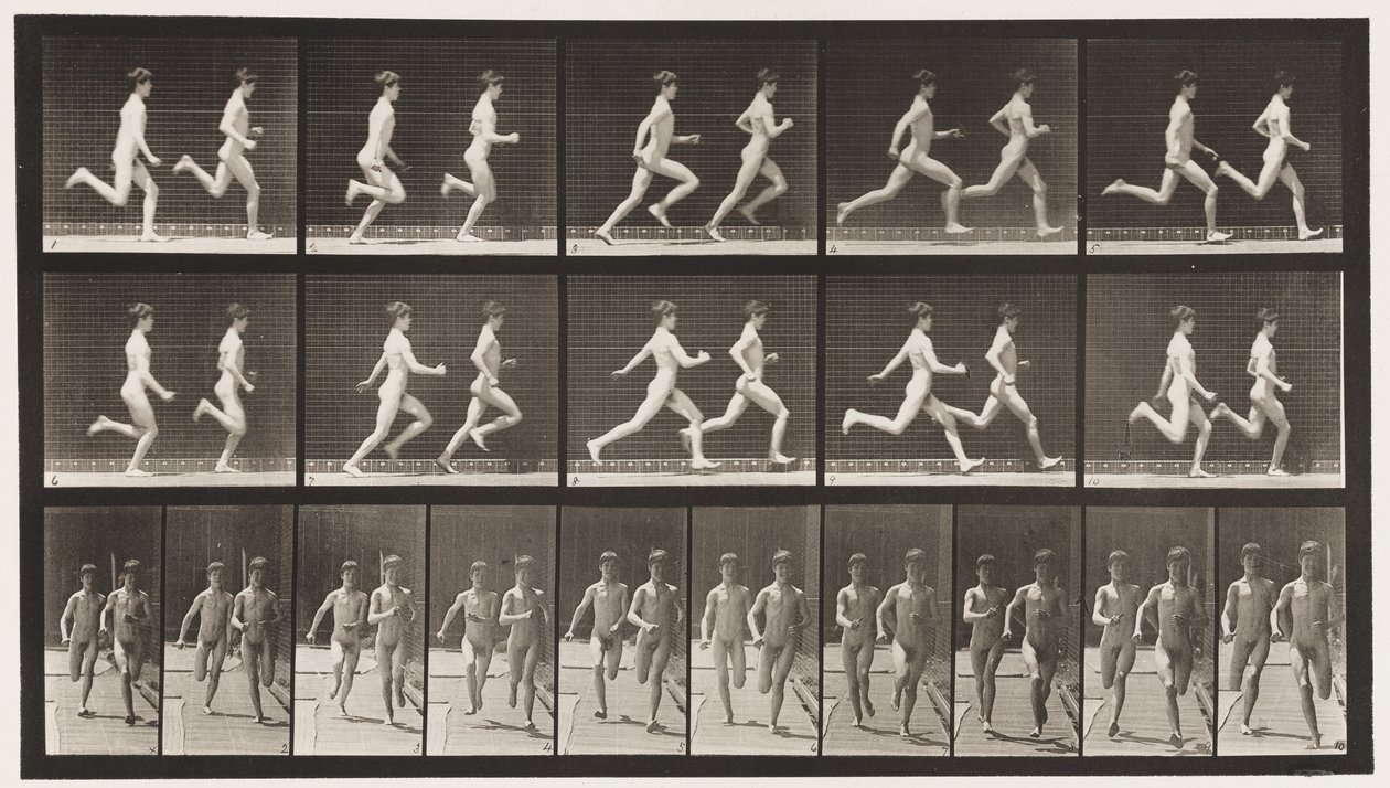 Levy 69. Kaksi mallia, 1872-1885 tekijältä Eadweard Muybridge