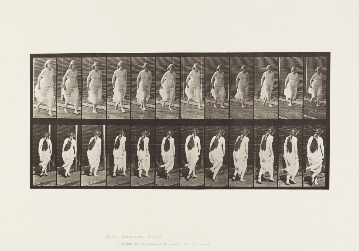Levy 71. Juoksu, 1885 tekijältä Eadweard Muybridge