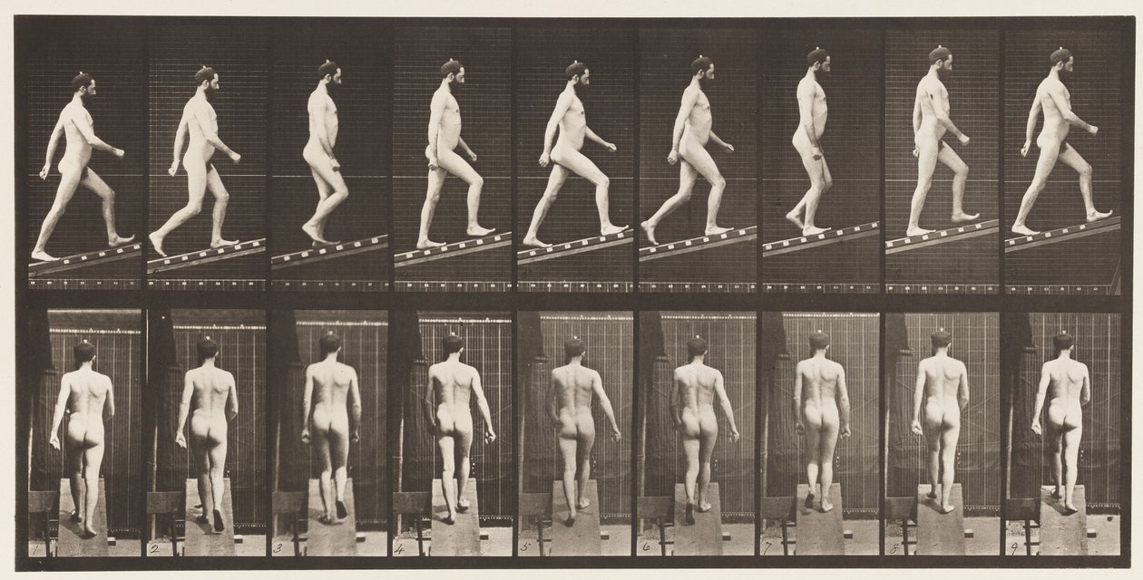 Levy 75. Nouseva kaltevuus, kulma 1 in 4, 1872-1885 tekijältä Eadweard Muybridge