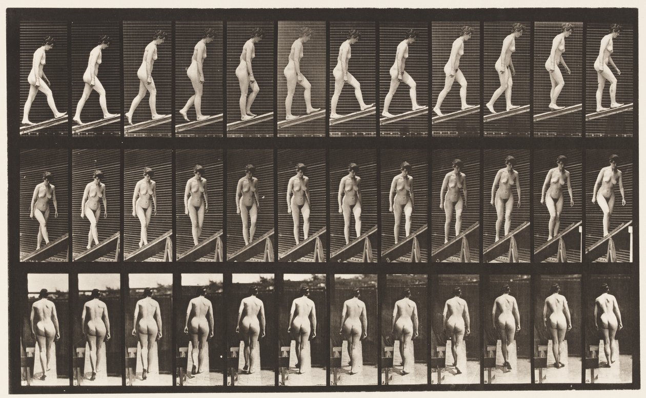 Levy 76. Nouseva kaltevuus tekijältä Eadweard Muybridge